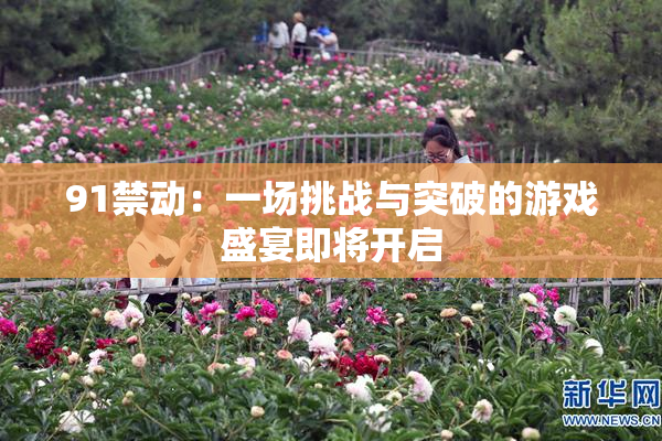 91禁动：一场挑战与突破的游戏盛宴即将开启