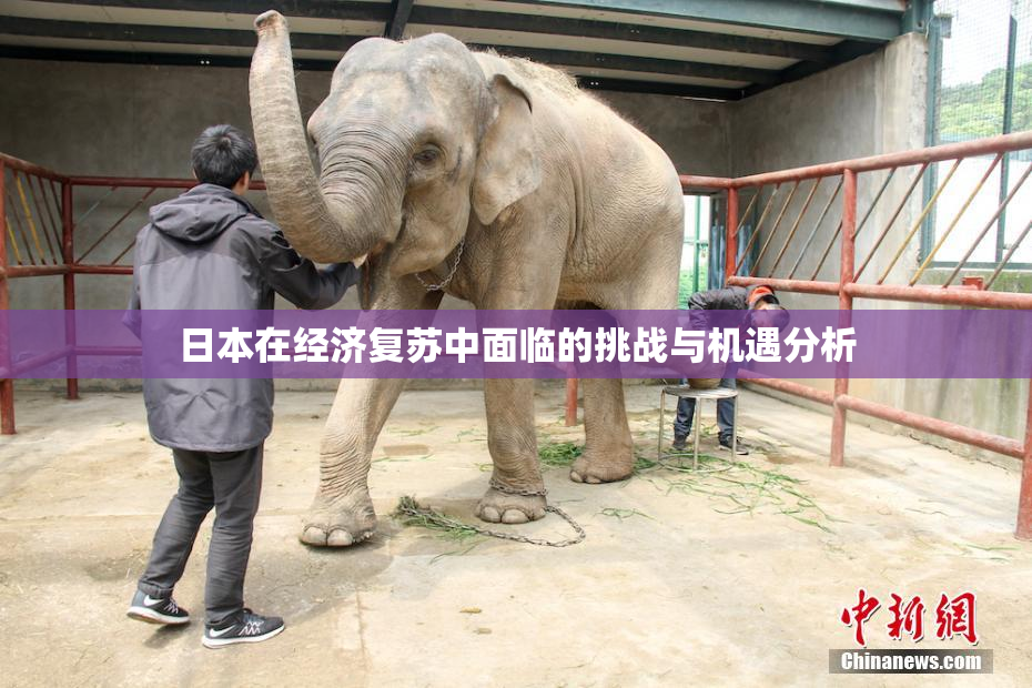 日本在经济复苏中面临的挑战与机遇分析