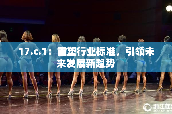 17.c.1：重塑行业标准，引领未来发展新趋势