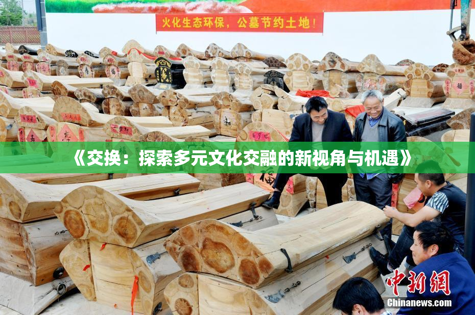 《交换：探索多元文化交融的新视角与机遇》