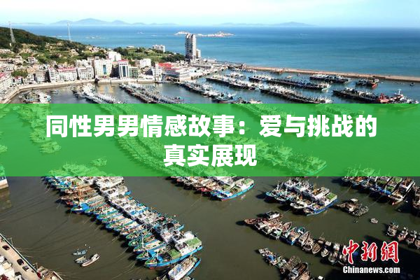 同性男男情感故事：爱与挑战的真实展现