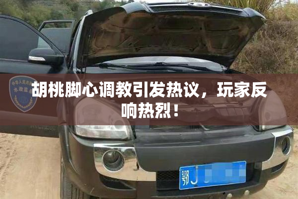 胡桃脚心调教引发热议，玩家反响热烈！