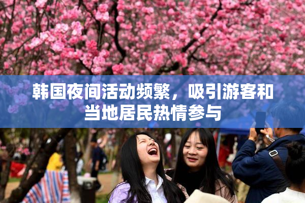 韩国夜间活动频繁，吸引游客和当地居民热情参与