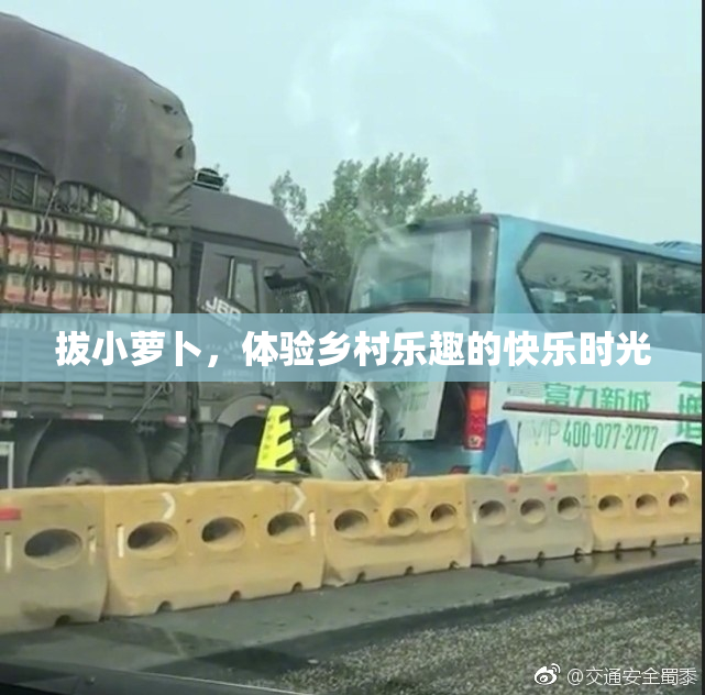 拔小萝卜，体验乡村乐趣的快乐时光