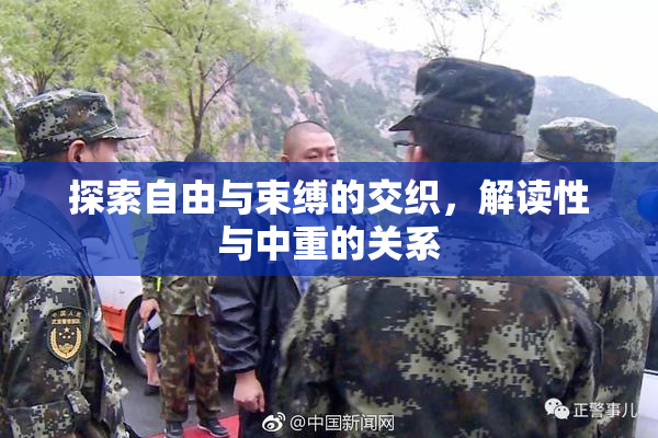 探索自由与束缚的交织，解读性与中重的关系