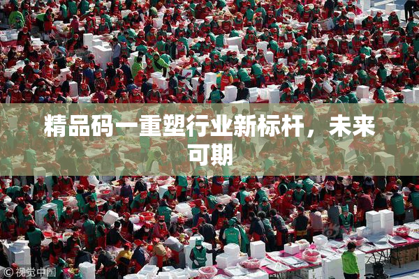 精品码一重塑行业新标杆，未来可期