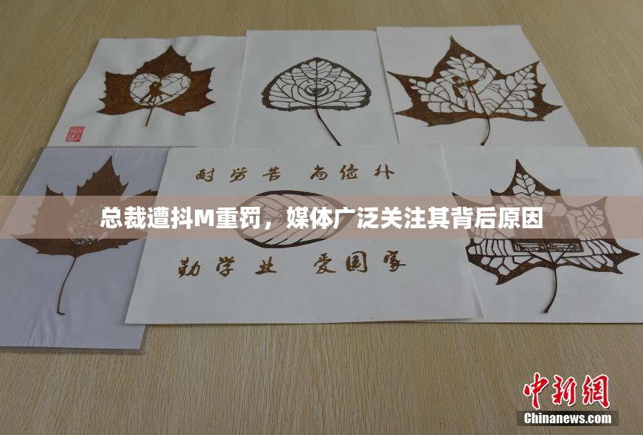 总裁遭抖M重罚，媒体广泛关注其背后原因