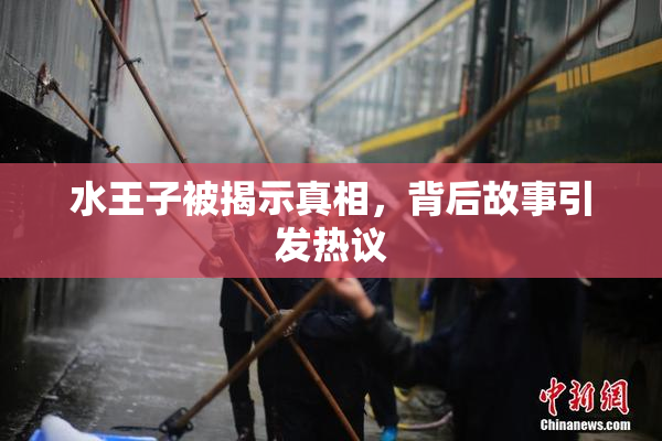 水王子被揭示真相，背后故事引发热议