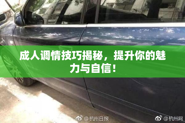 成人调情技巧揭秘，提升你的魅力与自信！