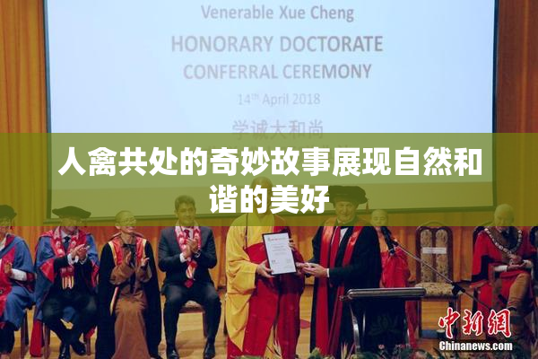 人禽共处的奇妙故事展现自然和谐的美好