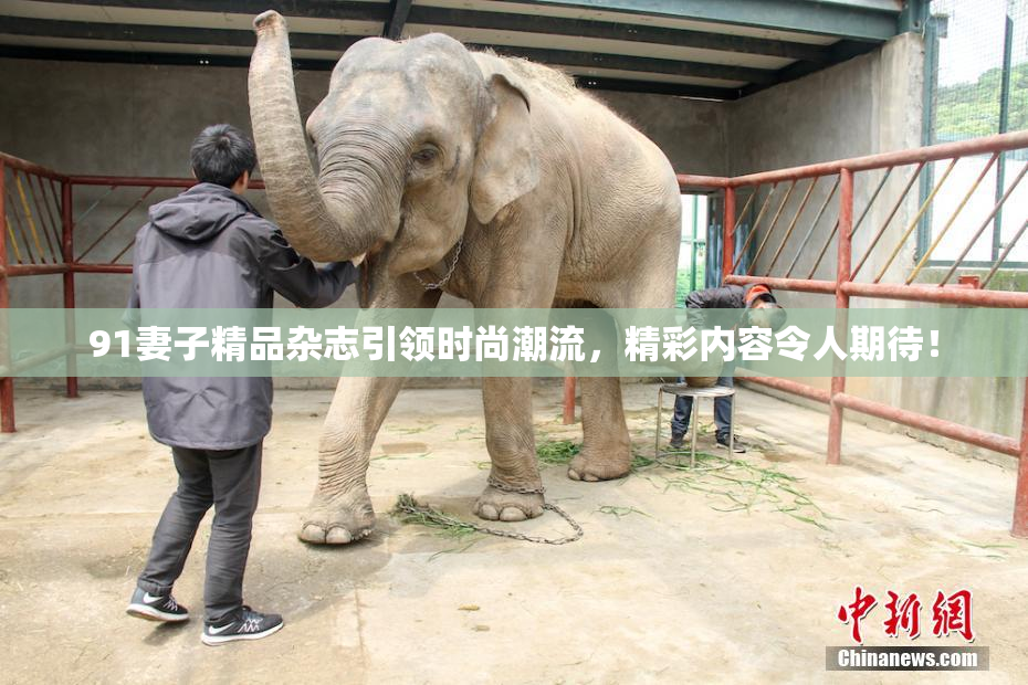 91妻子精品杂志引领时尚潮流，精彩内容令人期待！