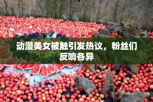 动漫美女被触引发热议，粉丝们反响各异