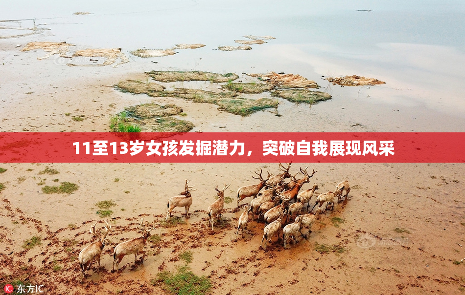 11至13岁女孩发掘潜力，突破自我展现风采