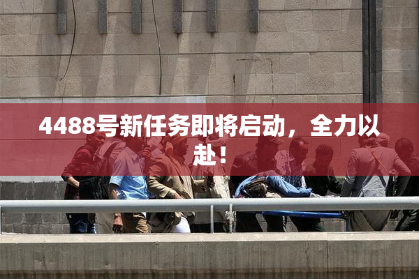 4488号新任务即将启动，全力以赴！