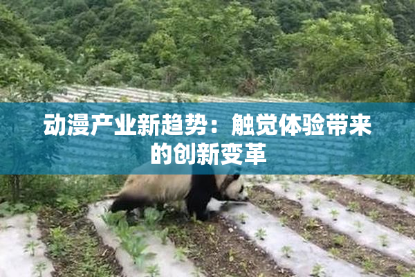 动漫产业新趋势：触觉体验带来的创新变革