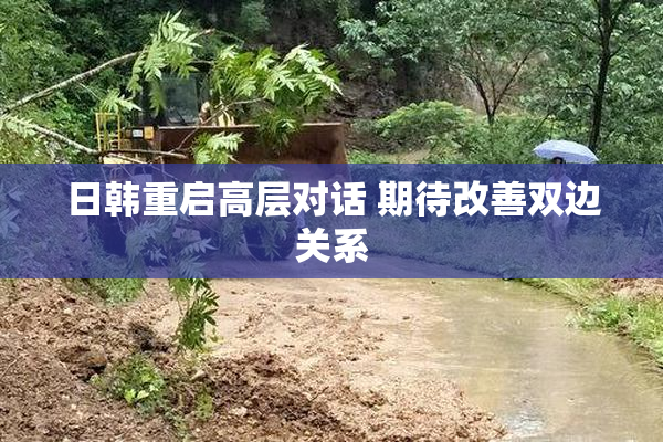 日韩重启高层对话 期待改善双边关系