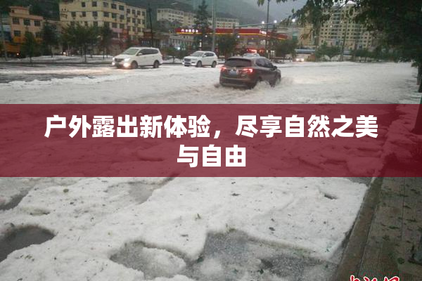 户外露出新体验，尽享自然之美与自由