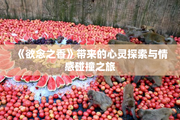《欲念之香》带来的心灵探索与情感碰撞之旅