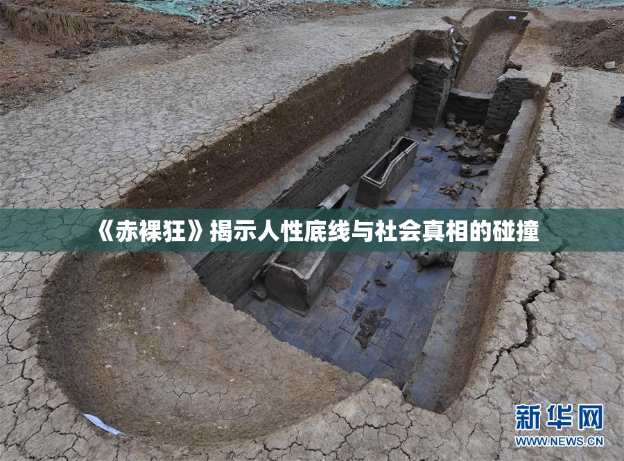 《赤裸狂》揭示人性底线与社会真相的碰撞