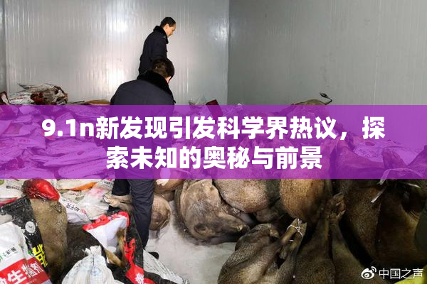 9.1n新发现引发科学界热议，探索未知的奥秘与前景