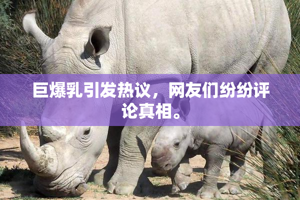 巨爆乳引发热议，网友们纷纷评论真相。