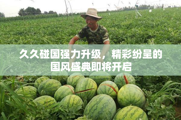 久久碰国强力升级，精彩纷呈的国风盛典即将开启
