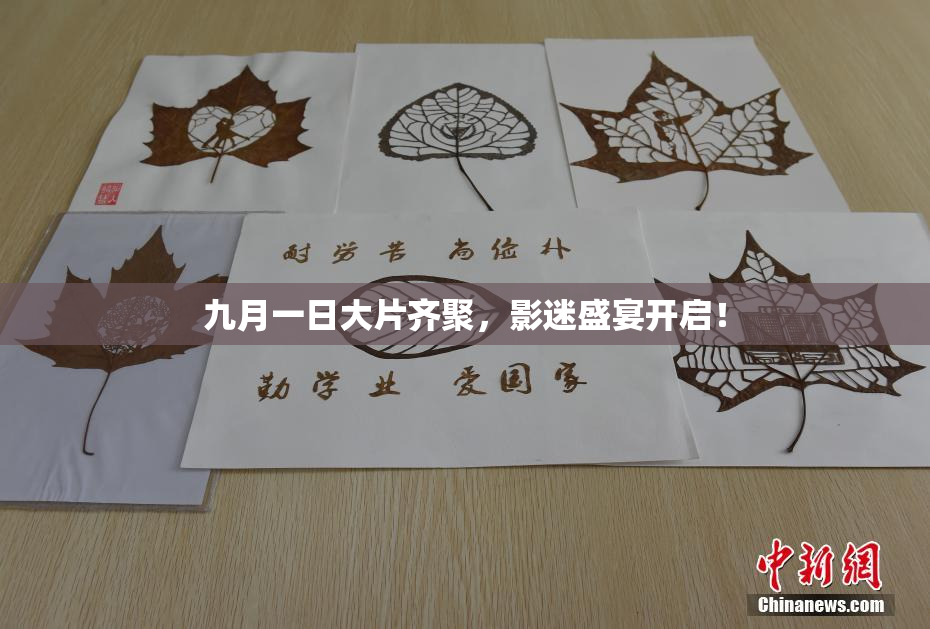 九月一日大片齐聚，影迷盛宴开启！