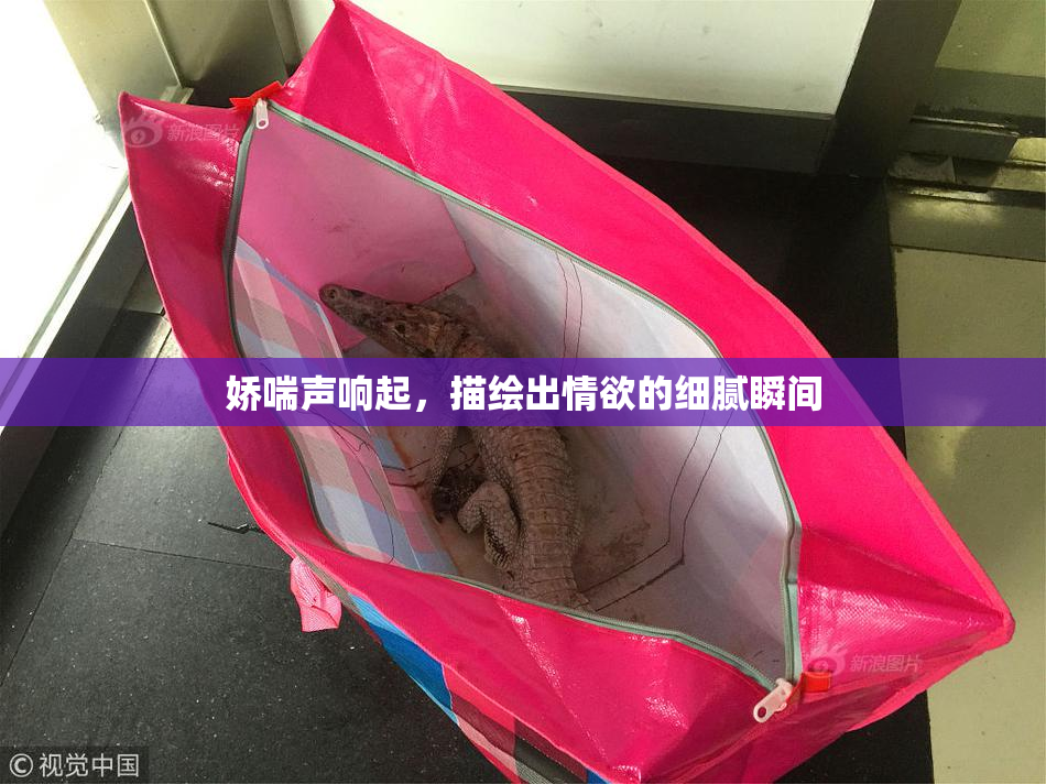 娇喘声响起，描绘出情欲的细腻瞬间