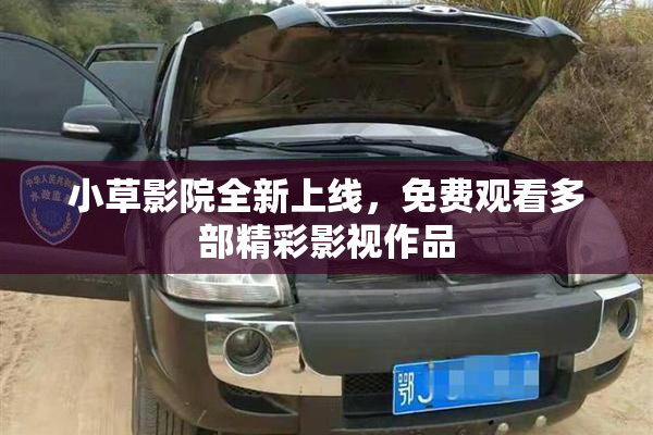 小草影院全新上线，免费观看多部精彩影视作品