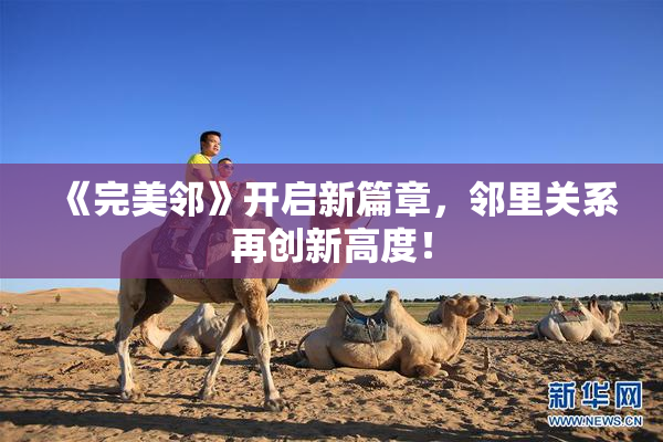 《完美邻》开启新篇章，邻里关系再创新高度！
