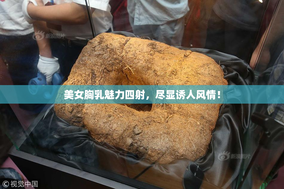 美女胸乳魅力四射，尽显诱人风情！