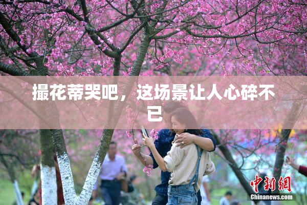 撮花蒂哭吧，这场景让人心碎不已