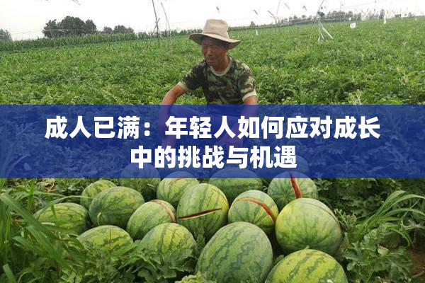 成人已满：年轻人如何应对成长中的挑战与机遇