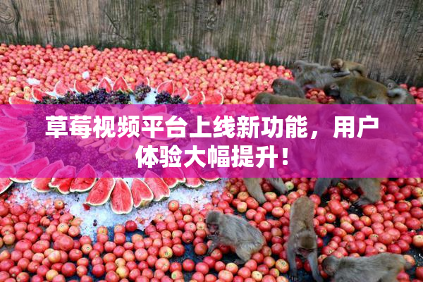 草莓视频平台上线新功能，用户体验大幅提升！