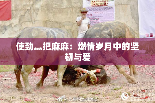 使劲灬把麻麻：燃情岁月中的坚韧与爱