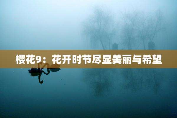 樱花9：花开时节尽显美丽与希望