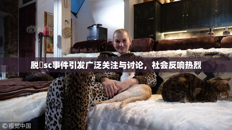 脱糞sc事件引发广泛关注与讨论，社会反响热烈