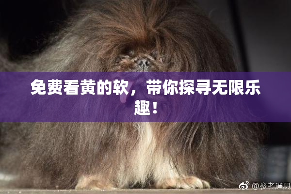 免费看黄的软，带你探寻无限乐趣！