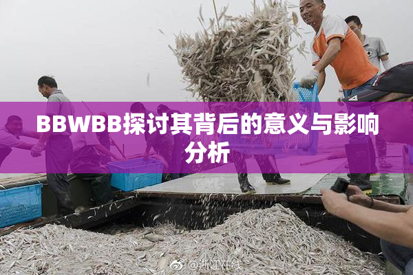 BBWBB探讨其背后的意义与影响分析
