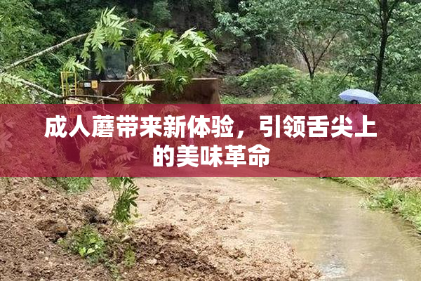成人蘑带来新体验，引领舌尖上的美味革命