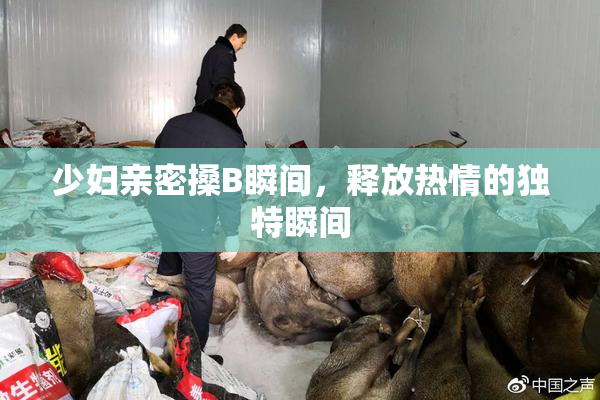 少妇亲密搡B瞬间，释放热情的独特瞬间