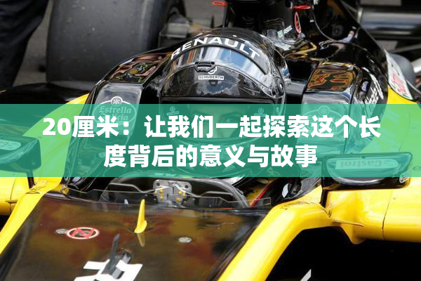 20厘米：让我们一起探索这个长度背后的意义与故事