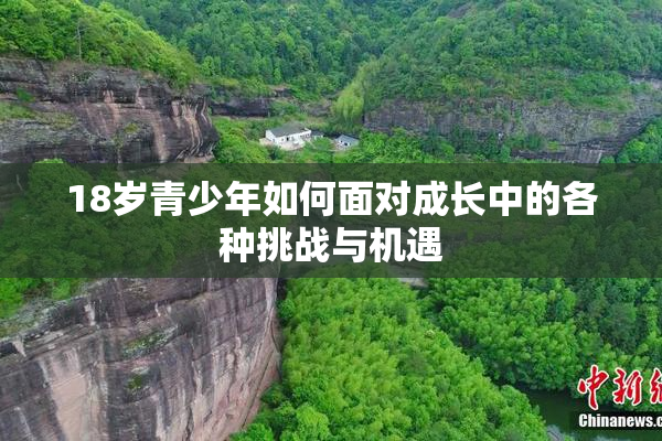 18岁青少年如何面对成长中的各种挑战与机遇