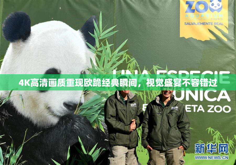 4K高清画质重现欧跪经典瞬间，视觉盛宴不容错过