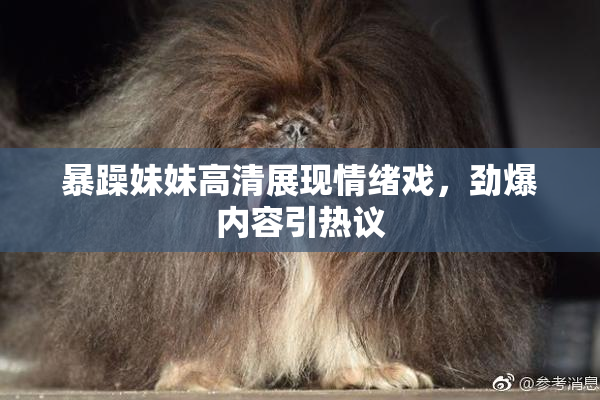 暴躁妹妹高清展现情绪戏，劲爆内容引热议