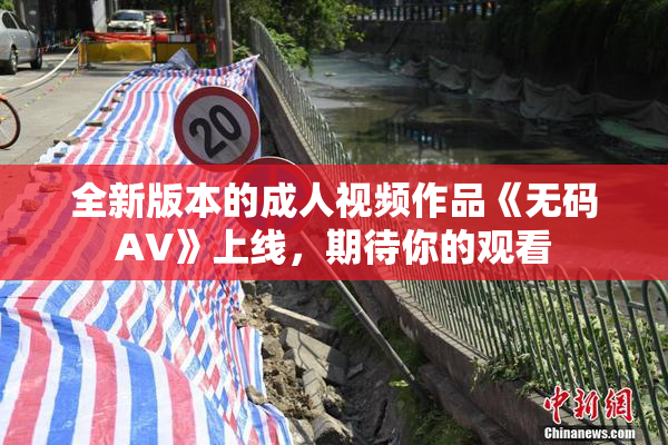 全新版本的成人视频作品《无码AV》上线，期待你的观看