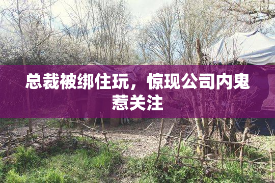 总裁被绑住玩，惊现公司内鬼惹关注
