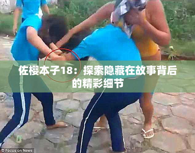 佐樱本子18：探索隐藏在故事背后的精彩细节