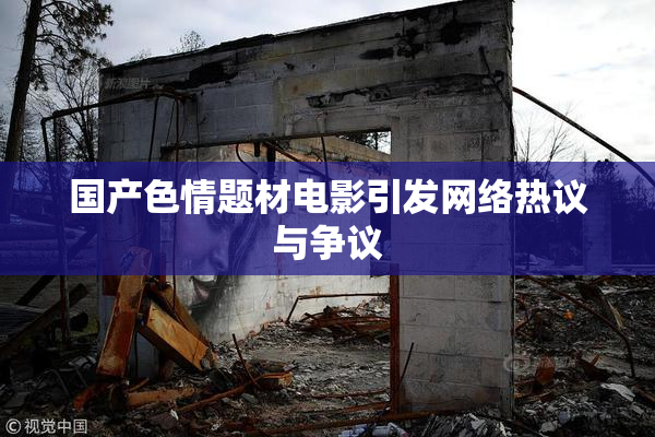 国产色情题材电影引发网络热议与争议