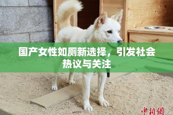 国产女性如厕新选择，引发社会热议与关注